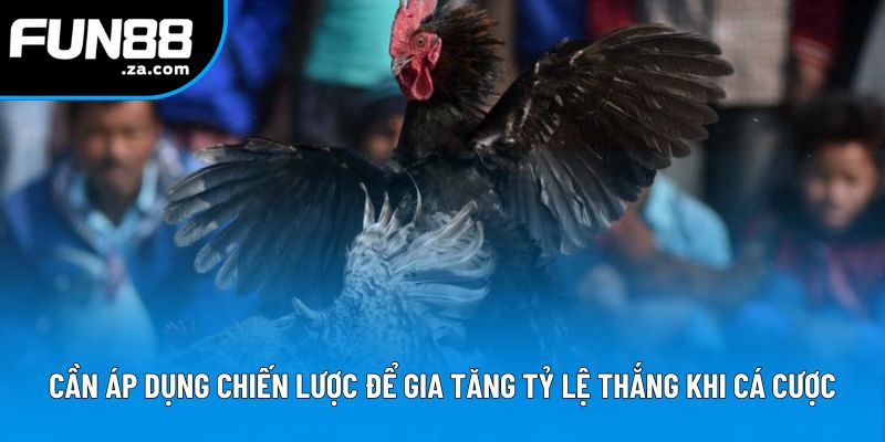 Cần áp dụng chiến lược để gia tăng tỷ lệ thắng khi cá cược Cần áp dụng chiến lược để gia tăng tỷ lệ thắng khi cá cược