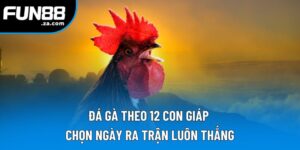 Đá Gà Theo 12 Con Giáp | Bí Quyết Phong Thủy Tăng Vận May 2 Đá Gà Theo 12 Con Giáp | Chọn Ngày Ra Trận Luôn Thắng