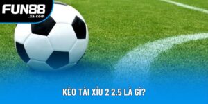 Kèo Tài Xỉu 2 2.5 Là Gì - Hướng Dẫn Đặt Cược Và Chiến Thắng Dễ Dàng 1 Kèo Tài Xỉu 2 2.5 Là Gì - Cách Ăn Trọn Tiền Thưởng Nhà Cái