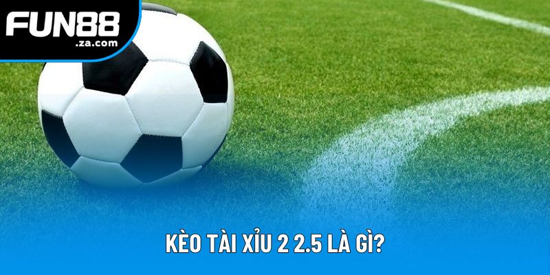 Kèo Tài Xỉu 2 2.5 Là Gì - Hướng Dẫn Đặt Cược Và Chiến Thắng Dễ Dàng 1 Kèo Tài Xỉu 2 2.5 Là Gì - Cách Ăn Trọn Tiền Thưởng Nhà Cái